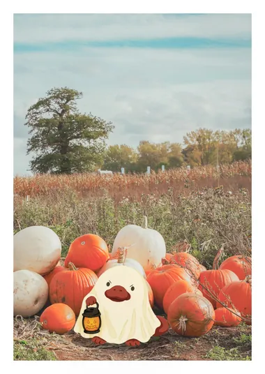 Postcard: Ploc as a ghost in a pumpkin patch